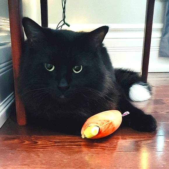 Meet your Posher, Catherine's Closet Finds 🛍 - Picture 2 of 11